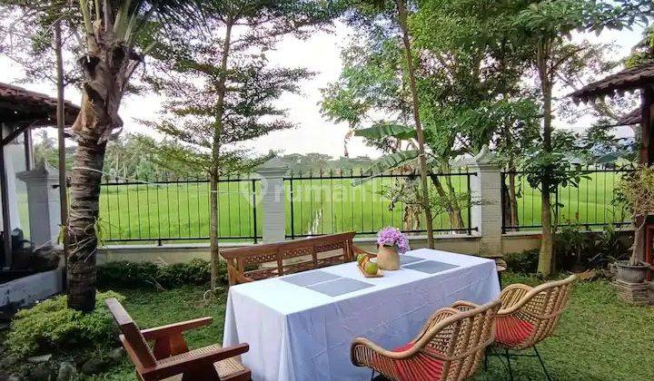 Villa Murah Mewah View Sawah Parkir Luas di Jln Parangtritis Km 16 1