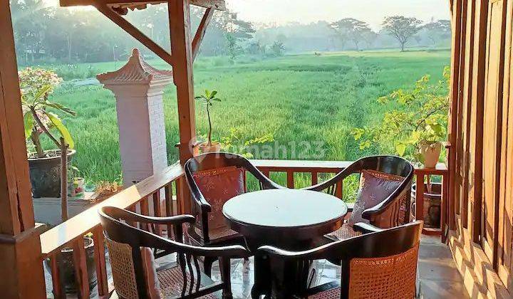 Villa Murah Mewah View Sawah Parkir Luas di Jln Parangtritis Km 16 2