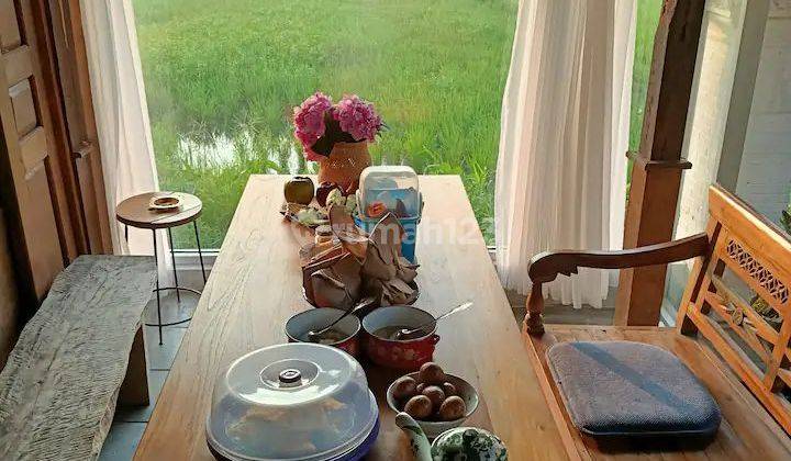 Villa Murah Mewah View Sawah Parkir Luas di Jln Parangtritis Km 16 4