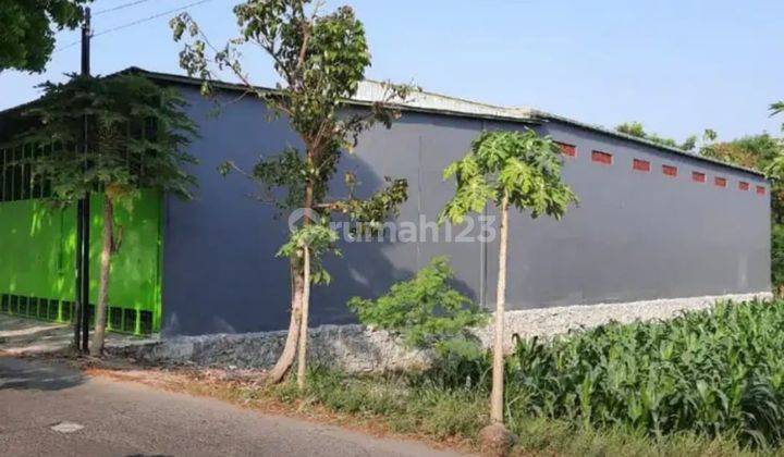 Gudang Murah Baru Cocok Apapun Dkt Ringroad Selatan Dan Giwangan 2