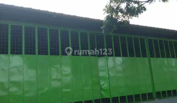 Gudang Murah Baru Cocok Apapun Dkt Ringroad Selatan Dan Giwangan 12
