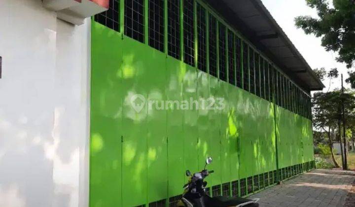 Gudang Murah Baru Cocok Apapun Dkt Ringroad Selatan Dan Giwangan 13