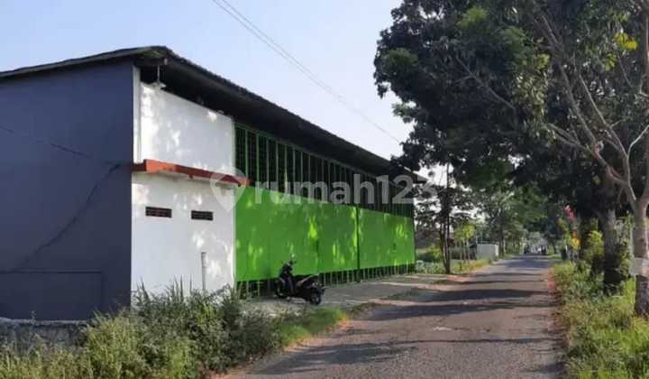 Gudang Murah Baru Cocok Apapun Dkt Ringroad Selatan Dan Giwangan 14