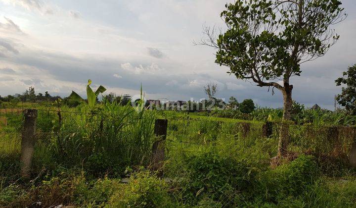 Tanah Murah Jln Godean Km 8 Cocok Kavlingan Perumahan View Sawah 1