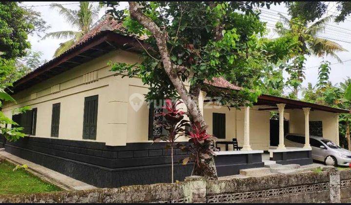 Rumah Murah Halmn Luas Dgn Bergaya Kolonial, Etnik Asri, Cck Utk Dikmbngkn Mnjadi Villa 1