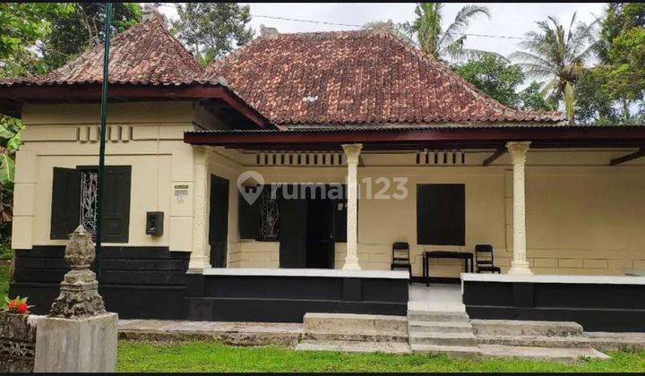 Rumah Murah Halmn Luas Dgn Bergaya Kolonial, Etnik Asri, Cck Utk Dikmbngkn Mnjadi Villa 2