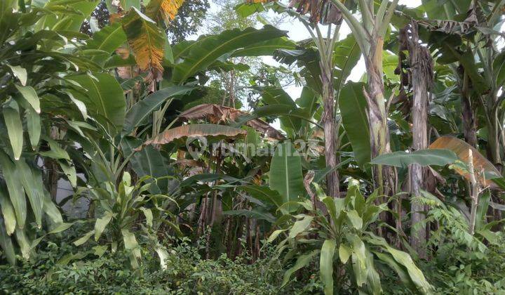 Tanah Murah Jln Kaliurang Km 4 Area Pogung Cocok Kost Dkt Ugm Uny 1