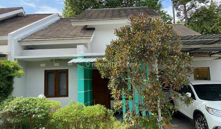 Rumah Murah Minimalis Dlm Perum Area Mlati Lokasi Dkt Sch Dan Jcm 1