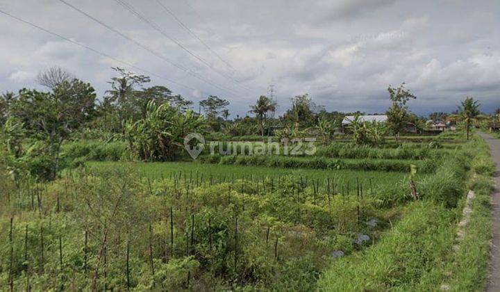 Tanah Murah Cocok Bangun Rumah Jln Palagan Km 10 Dkt Pasar Rejodani 2