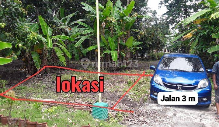 Tanah Kavling Murah Utk Rumah Dkt Sman 1 Kretek Dan Parangtritis