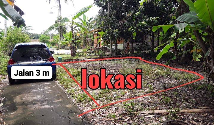 Tanah Kavling Murah Utk Rumah Dkt Sman 1 Kretek Dan Parangtritis 2