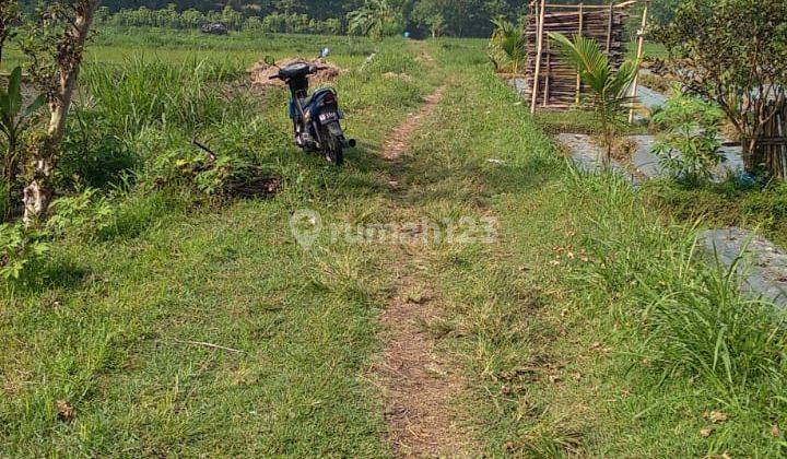 Sawah Murah Area Ngaglik Lokasi Dekat Dengan B2p2mpv Seni Dan Budaya 2