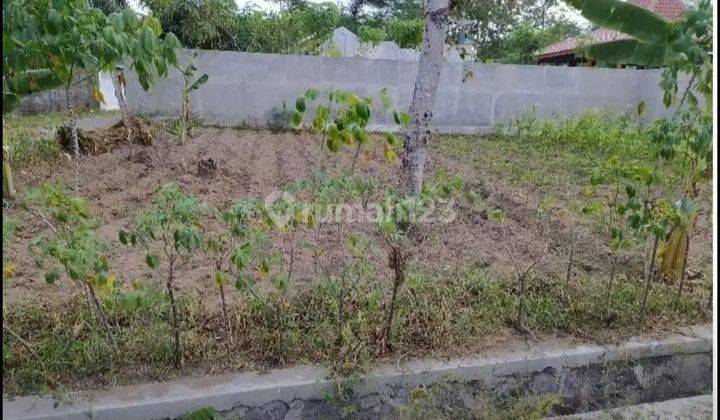 Tanah Kavling Murah Cocok Rumah Kost Dkt Kampus Unriyo Dan Budi Mulia 1