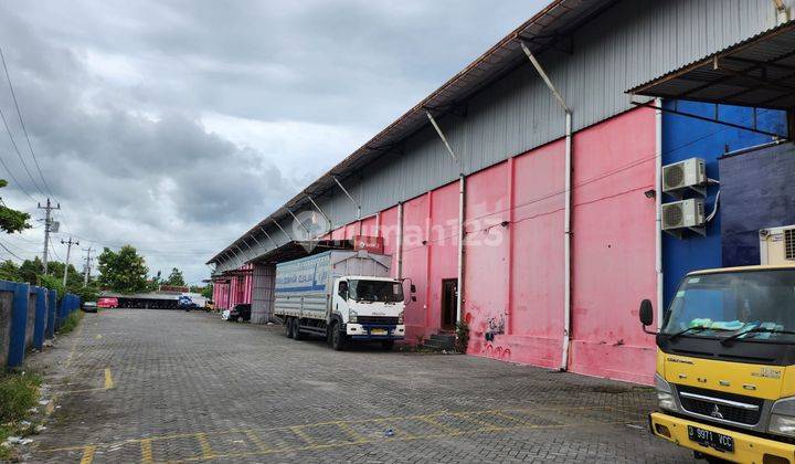 Gudang Murah Dlm Pergudangan Area Bantul Lokasi Dkt Isi Dan Kasongan