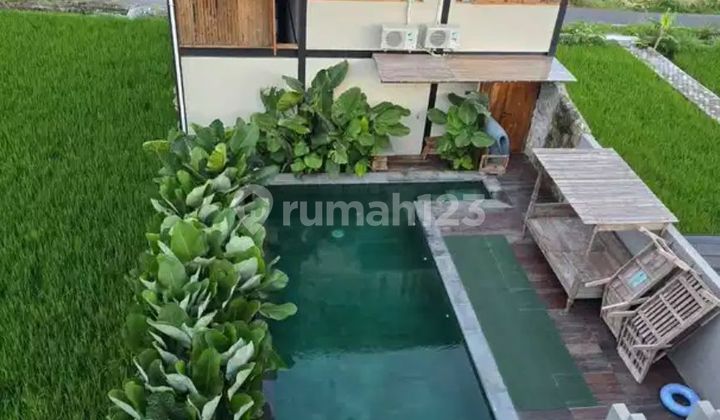 Rumah Villa Area Palagan Dengan View Sawah Dekat SCH Dan Hyatt 1