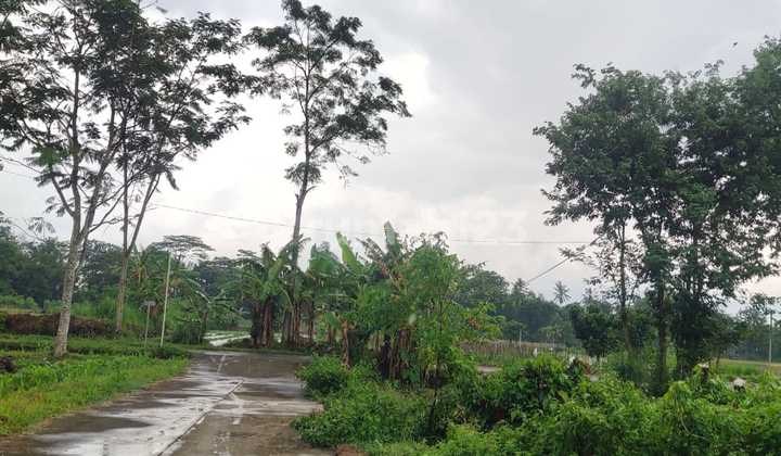 Tanah Murah Area Ngemplak Cocok Kos-kosan Dan Rumah Tinggal