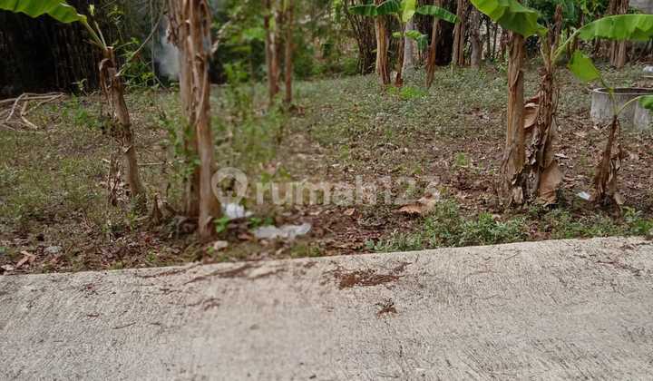 Tanah Murah Area Bangunjiwo Cocok Untuk Rumah Hunian Dekat UMY