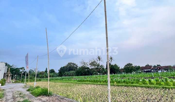 Tanah Murah Dalam Ringroad Cocok Untuk Kavling Dekat Adi Sucipto Tanah Murah Dalam Ringroad Cocok Untuk Kavling Dekat Adi Sucipto