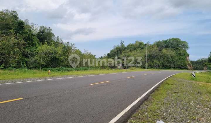Affordable Land in Girisubo Area, Suitable for Universities, Hotels, and Resorts Affordable Land in Girisubo Area, Suitable for Universities, Hotels, and Resorts