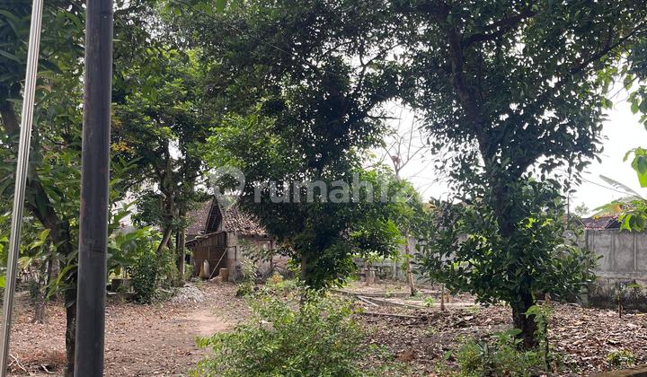 Dijual Tanah Area Pleret Bantul Lokasi Dekat Stadion Sultan Agung Dijual Tanah Area Pleret Bantul Lokasi Dekat Stadion Sultan Agung