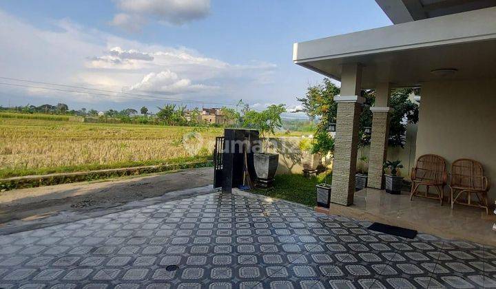 Rumah Mewah Murah Lingkungan Nyaman Dngan View Sawah Area Jetis Bantul 2