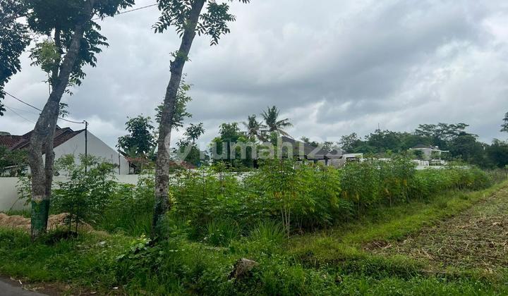 Tanah Murah Area Pandowoharjo Lokasi Dekat Pemda Sleman Dan Mall SCH