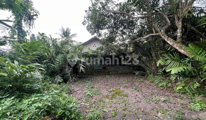 Cheap Land in Turi Area, Suitable for Residential and Villa Near Sleman Regional Hospital