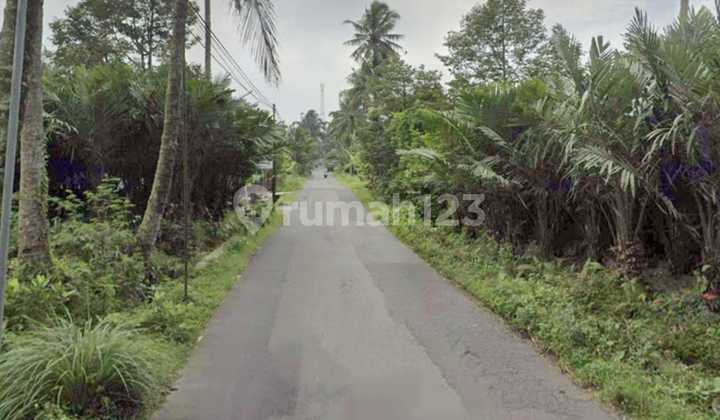 Tanah Sawah Murah Sudah Zona Kuning Area Pakem Dekat Panti Nugroho Tanah Sawah Murah Sudah Zona Kuning Area Pakem Dekat Panti Nugroho