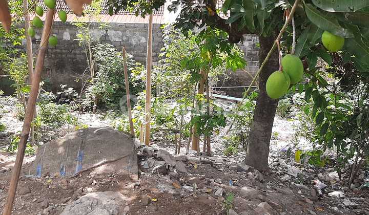 Tanah Besar Murah Area Condongcatur Dekat Gejayan Dan Pakuwon Mall
