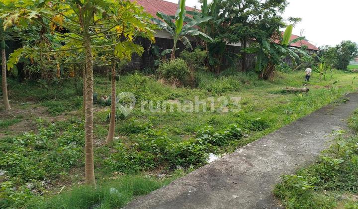 Cheap Land Area in Sorowajan, Location Near Amplaz and JEC. Cheap Land Area in Sorowajan, Location Near Amplaz and JEC.