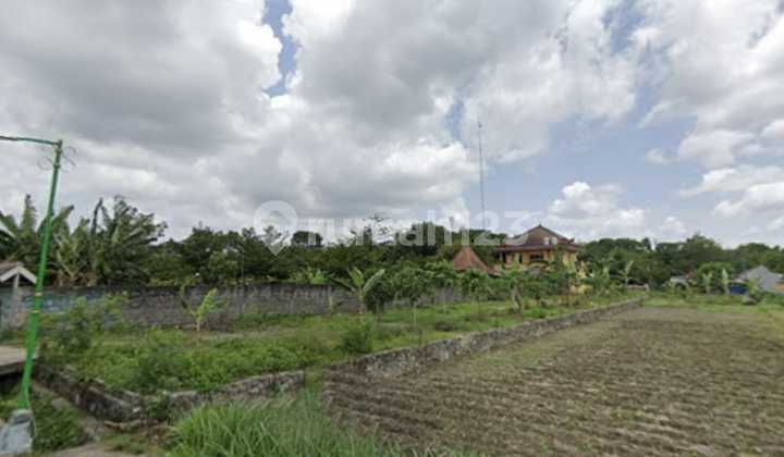 Tanah Murah Cocok Untuk Villa Dan Homestay Lokasi Palagan Dekat Hyatt Tanah Murah Cocok Untuk Villa Dan Homestay Lokasi Palagan Dekat Hyatt