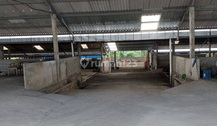 Gudang 1,7 Ha Zona Merah, Jumantono, Karanganyar, Surakarta. 5