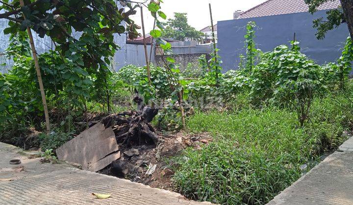 Dijual Cepat Tanah Hook Termurah, Hadap Timur Selatan Di Joglo 2