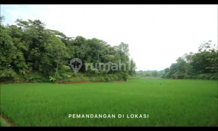 Dijual Lahan Tanah Purwakarta Kabupten Purwakarta, lokasi strategis, cocok untuk perumahan, perkebunan, gudang dan tempat usaha, lokasi dekat kota Purwakarta, surat SHM, 300 ribu permeter Nego Dwi Dijual Lahan Tanah Purwakarta Kabupten Purwakarta, lokasi strategis, cocok untuk perumahan, perkebunan, gudang dan tempat usaha, lokasi dekat kota Purwakarta, surat SHM, 300 ribu permeter Nego Dwi