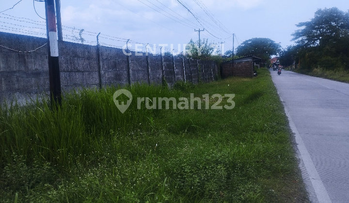 Tanah Siap Bangun Didaerah Industri Cirebon