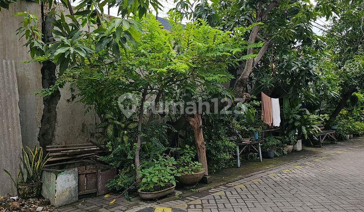 Rumah Jelek Hitung Tanah bisa Dipecah Jadi 4-8 Rmh Lebak Jaya 1