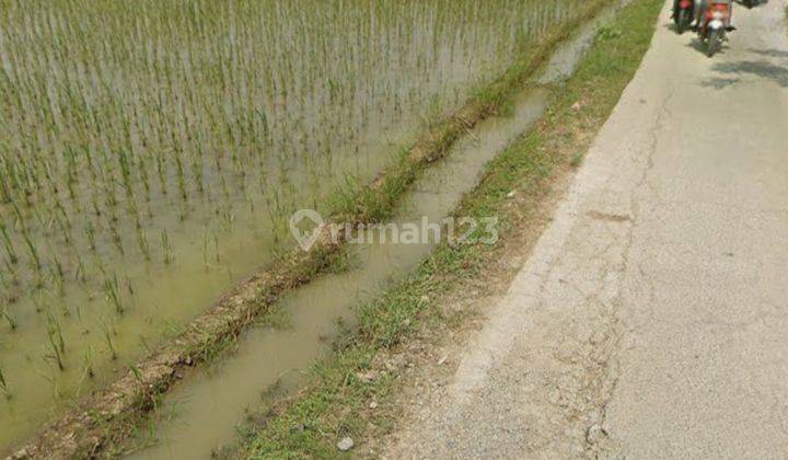 Tanah Murah Cocok Buat Perumahan Atau Gudang Jayasakti, Muara Gembong Bekasi Jawa Barat 1