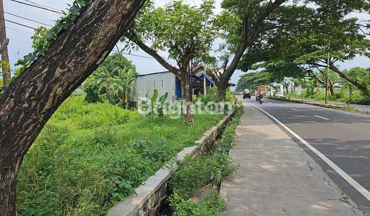 tanah Pandaan dekat ades nol jalan rame 1