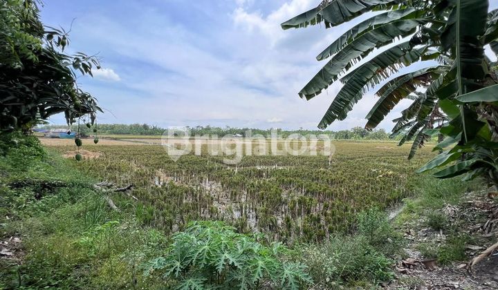 Tanah Gebang Sidoarjo