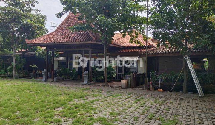 Disewakan Exs kuliner di raya Tanggulangin - Sidoarjo - malang  1