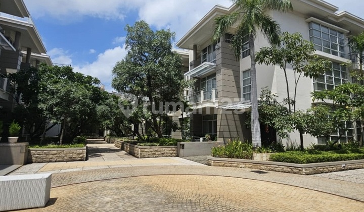 Dijual Rumah Cbd Pluit Townhouse Emporium Harga NJOP Uk228m² At Jakarta Utara