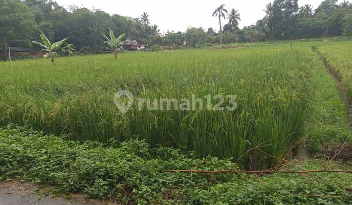 Ready-to-Build Land Plot Kroya Carenang Cisoka Tangerang