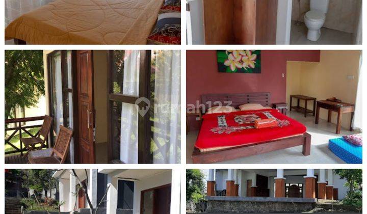 Dijual Villa Eco Lodge Lovina Singaraja Bali 2