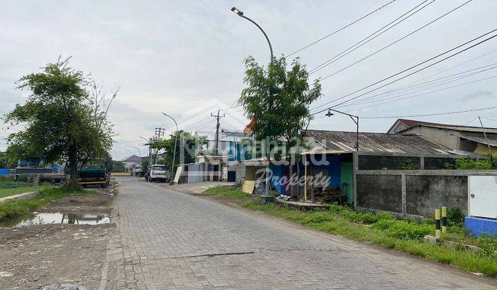 Tanah di Bandarharjo , Semarang Tt 4674  2