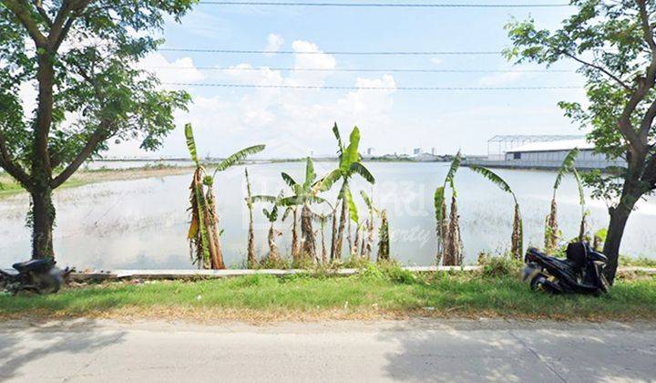 Tanah di Raya Onggorawe Sayung, Demak Tt 5877  2