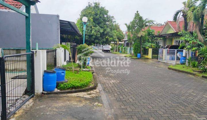 Rumah Asri, Bagus di Graha Padma , Semarang Tt 4359 1