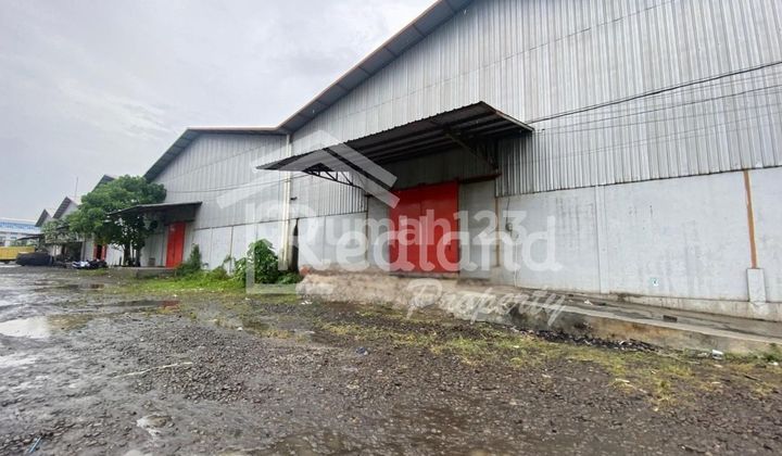 Warehouse on Jl Raya Pemalang Pekalongan ( Tt Si 8431 )