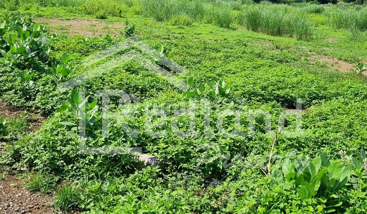 Tanah di Kawasan Cipta Guna , Semarang ( Tt 7867S ) 1