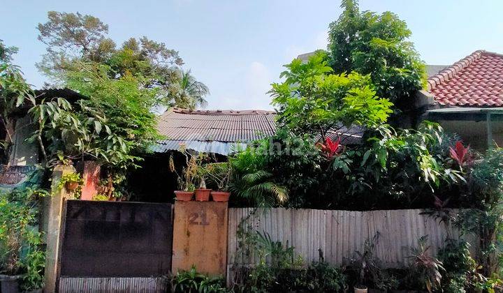 Rumah Tua Sarkawi Kebayoran Jaksel Hitung Tanah Murah 1