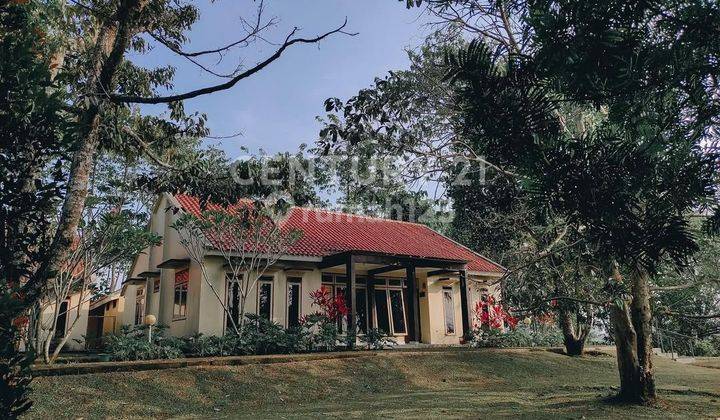 VILLA DAN LAHAN 5 HEKTAR JUAL HITUNG TANAH DI PARUNGKUDA SUKABUMI 2